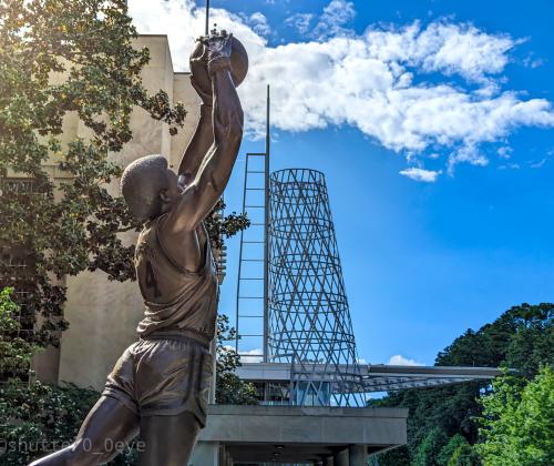 baskettall
